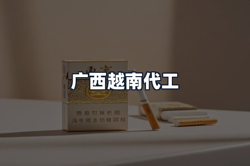 广西越南代工